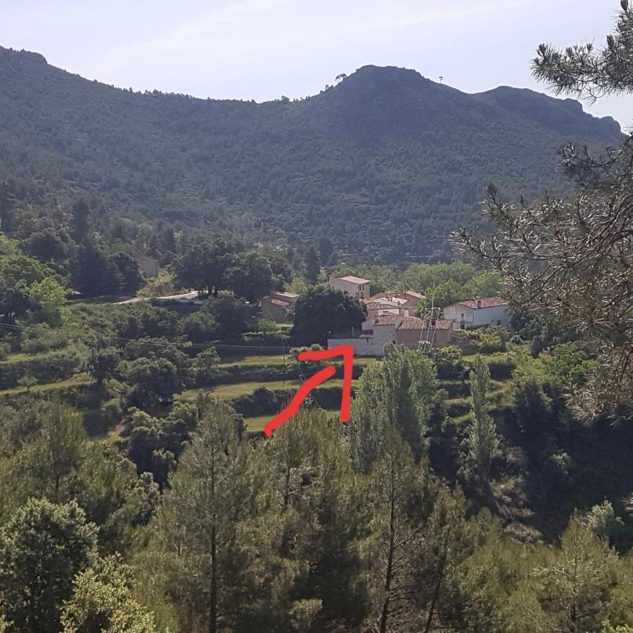 Las Encinas Yeste Exterior photo